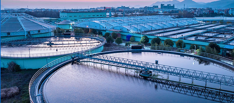 d4539716-85cc-48d2-9d94-45921c6762a0